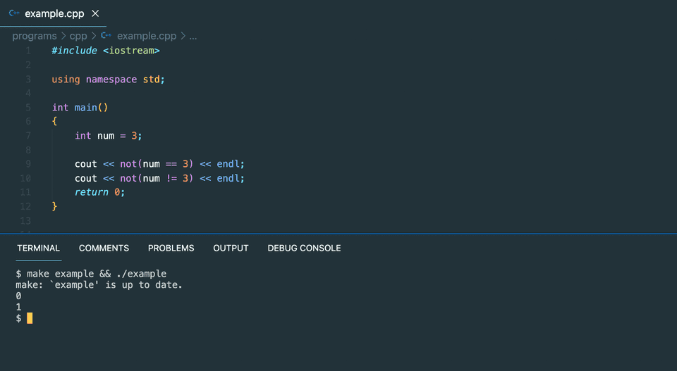 C++ not logical operator