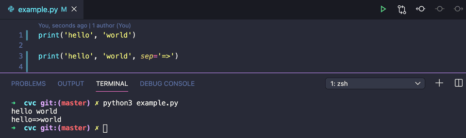 python print separate parameters