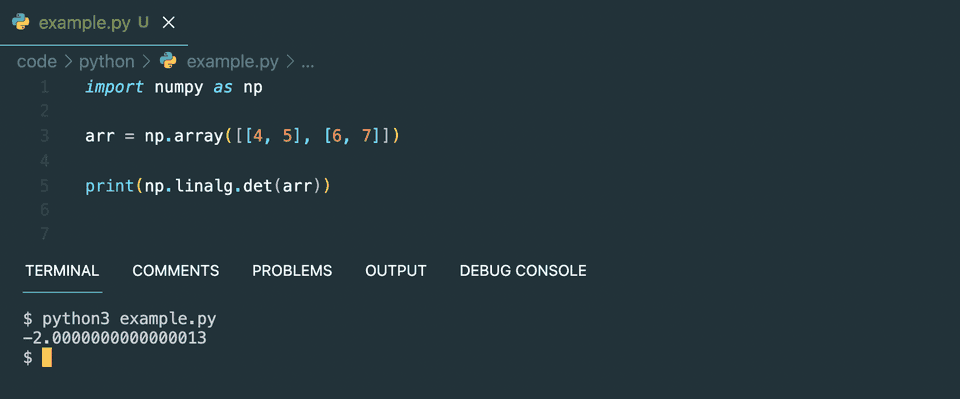 Python numpy determinant