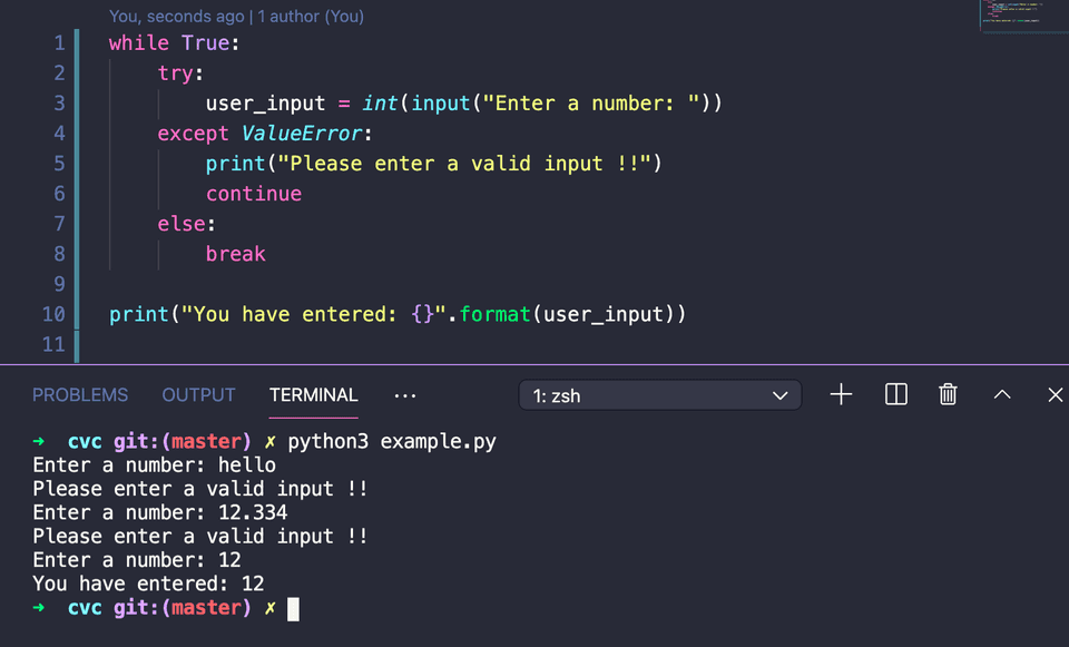 python take int input until a valid response